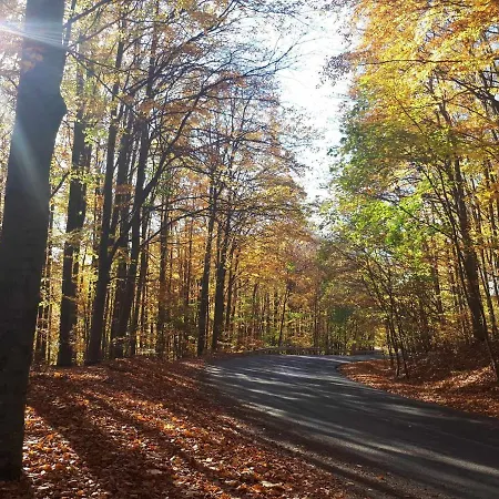 Iluska Vendeghaz * 매트라스젠티므라