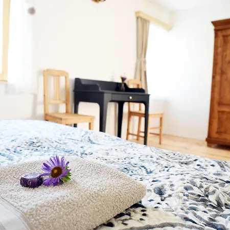 Iluska Vendeghaz * 매트라스젠티므라